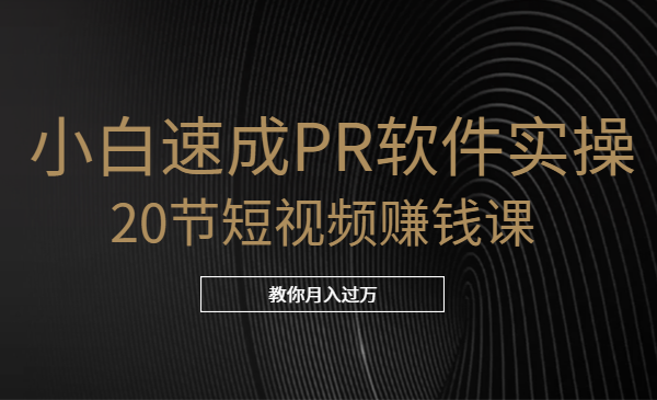 小白速成PR软件实操:20节短视频赚钱课,教你月入过万