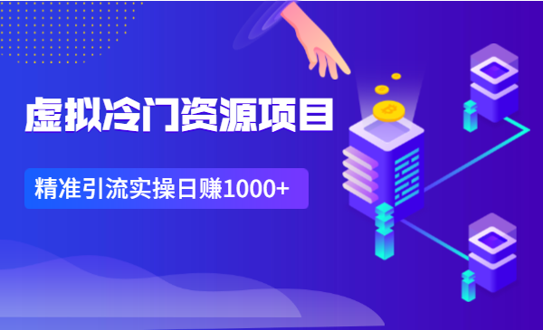 虚拟冷门资源项目,精准引流实操日赚1000+
