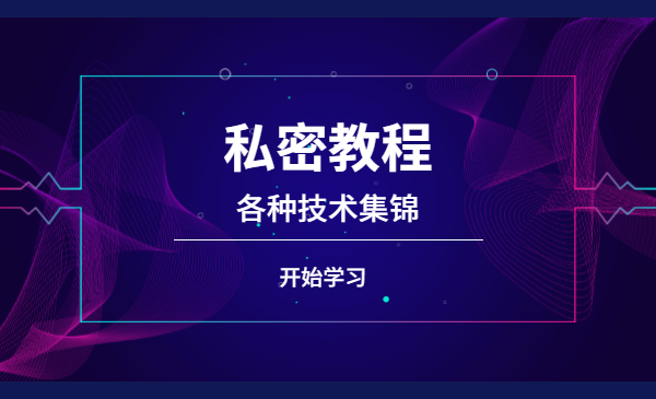 最新W,X技术2.0+最新S,F,B技术(全套课程)